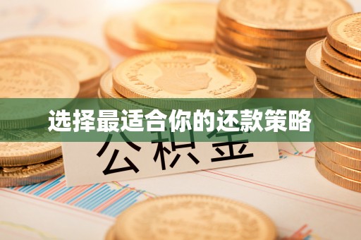 岢岚选择最适合你的还款策略